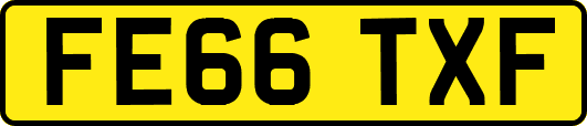 FE66TXF
