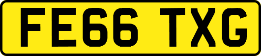 FE66TXG