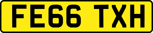 FE66TXH
