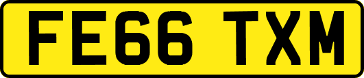 FE66TXM