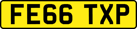 FE66TXP