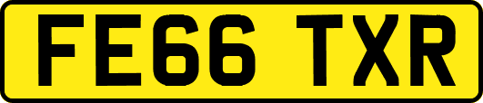 FE66TXR