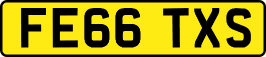 FE66TXS