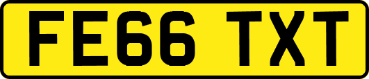 FE66TXT