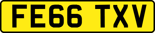 FE66TXV