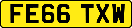 FE66TXW