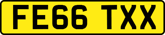 FE66TXX