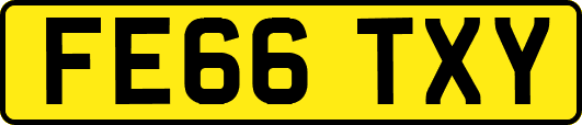FE66TXY