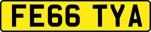FE66TYA