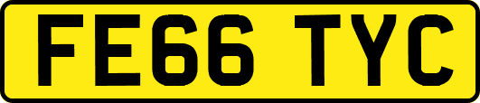 FE66TYC