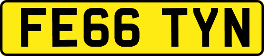 FE66TYN