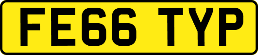 FE66TYP