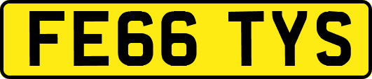 FE66TYS