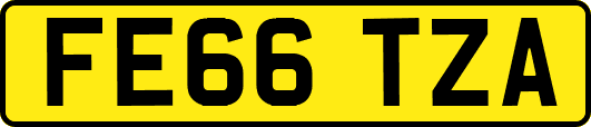 FE66TZA
