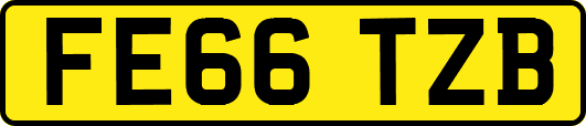 FE66TZB