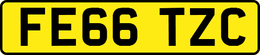 FE66TZC