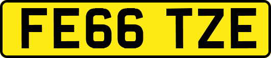 FE66TZE