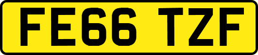 FE66TZF