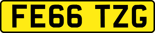 FE66TZG