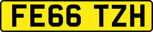 FE66TZH