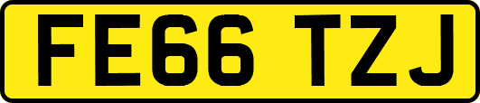 FE66TZJ