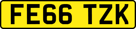 FE66TZK