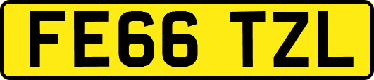 FE66TZL