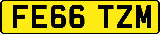 FE66TZM