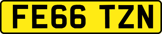 FE66TZN