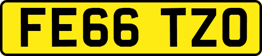 FE66TZO