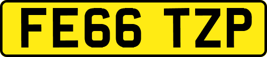 FE66TZP