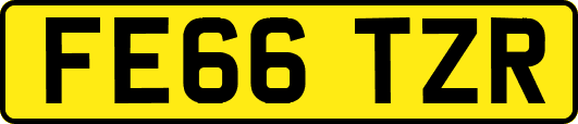 FE66TZR