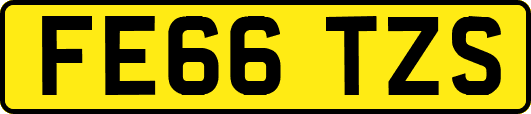 FE66TZS