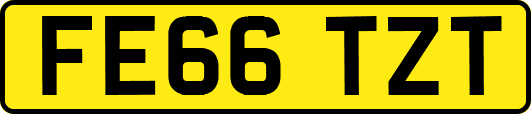 FE66TZT