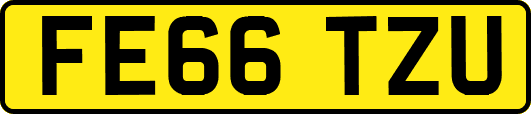 FE66TZU