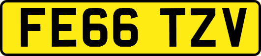 FE66TZV