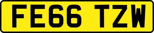 FE66TZW