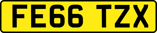 FE66TZX