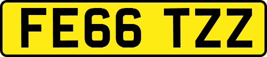 FE66TZZ