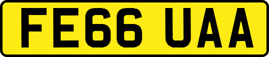 FE66UAA