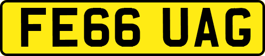 FE66UAG