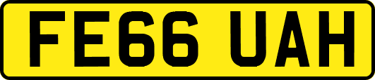 FE66UAH