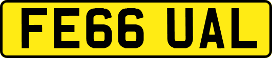 FE66UAL