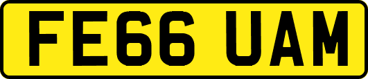 FE66UAM