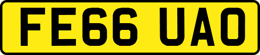 FE66UAO