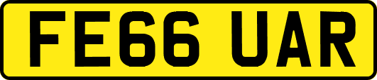 FE66UAR
