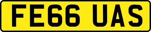 FE66UAS