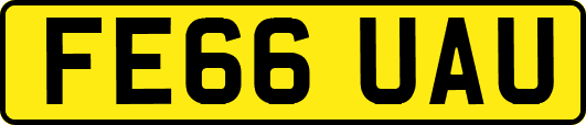 FE66UAU