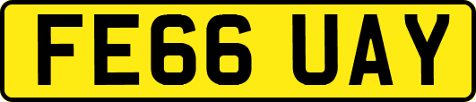 FE66UAY