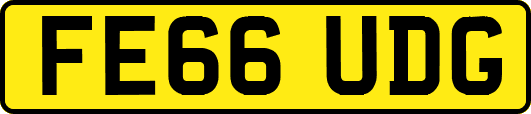 FE66UDG
